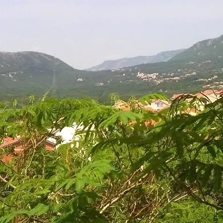 In Mit Grill Und Terrasse Und Panoramablick *